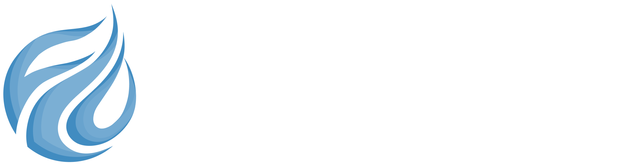 FLO Physical Therapy & Performance